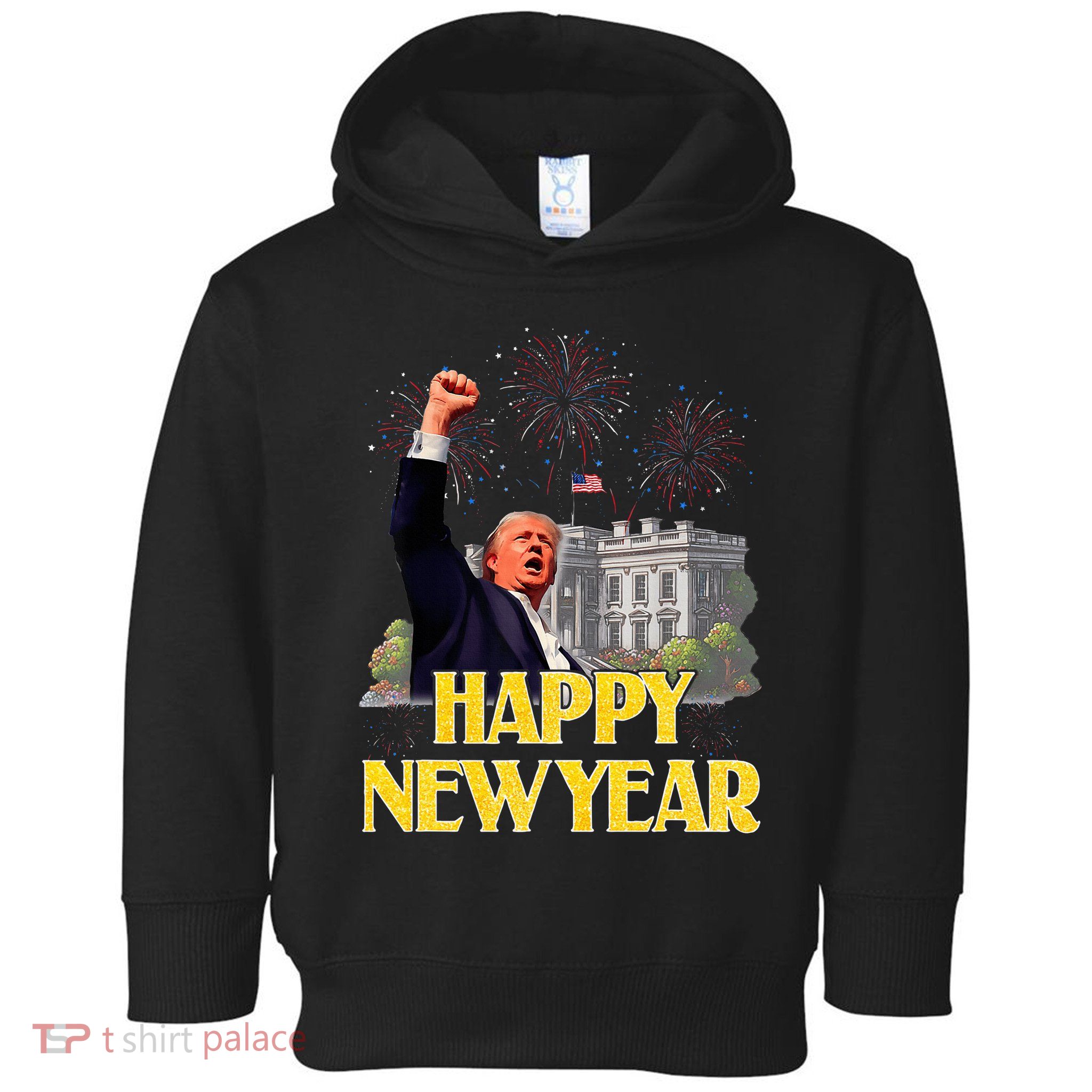Happy New Year Party 2025 Trump 2024 Take America Back Toddler Hoodie