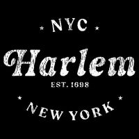 Harlem New York City Nyc Retro Harlem Flat Bill Trucker Hat