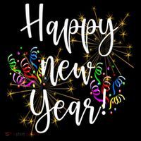 Happy New Year Day Eve Party Fireworks Confetti Costume Fun Long Sleeve TShirt Premium T-Shirt