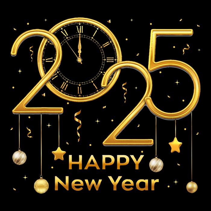 Happy New Year Party 2025 Family Matching Fireworks Backpack