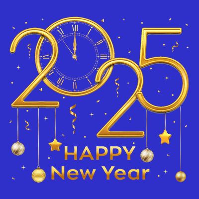 Happy New Year Party 2025 Family Matching Fireworks T-Shirt