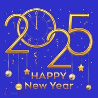 Happy New Year Party 2025 Family Matching Fireworks T-Shirt
