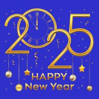 Happy New Year Party 2025 Family Matching Fireworks Button