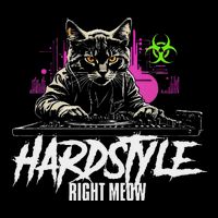 Hardstyle Outfit Cat Djs Hardstyle Right Meow T-Shirt