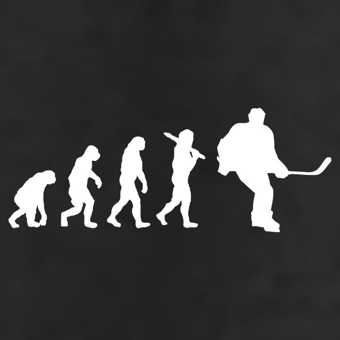 Hockey Evolution Timeline Adult Drive Performance Visor