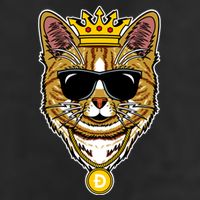 Hodl Dogecoin Doge Cat King Crypto Currency Moon Adult Drive Performance Visor