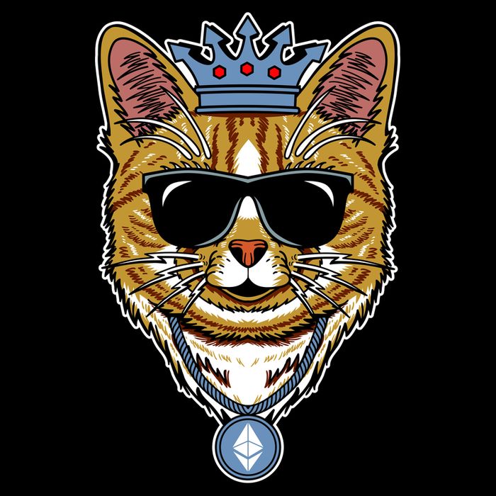 Hodl Ethereum ETH Cat King Crypto Currency Moon Mug