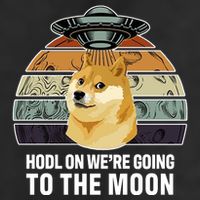 Hodl On We're Going To The Moon Retro Dogecoin 15oz Campfire Ceramic Mug