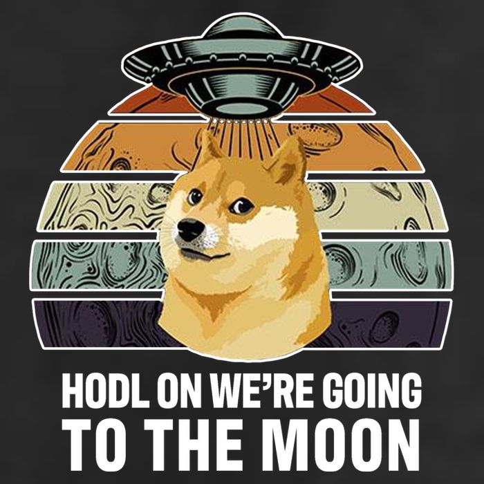 Hodl On We're Going To The Moon Retro Dogecoin 15oz Campfire Ceramic Mug