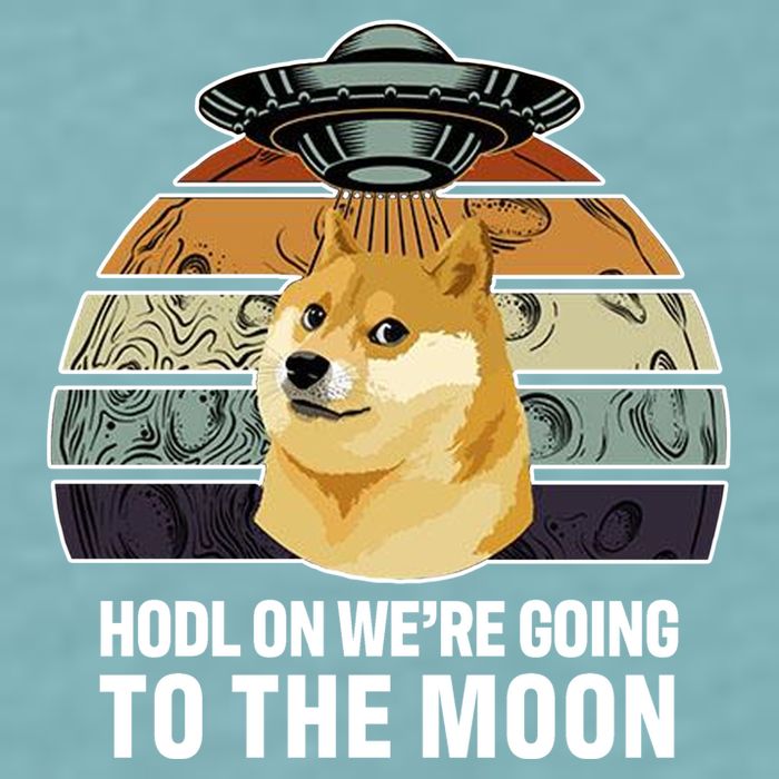 Hodl On We're Going To The Moon Retro Dogecoin Sueded Cloud Jersey T-Shirt