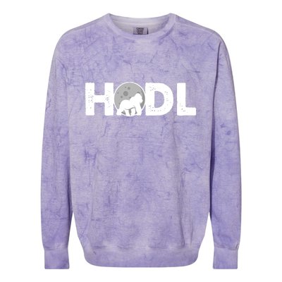 Hodl Stonk to the Moon Ape Crypto Currency Colorblast Crewneck Sweatshirt