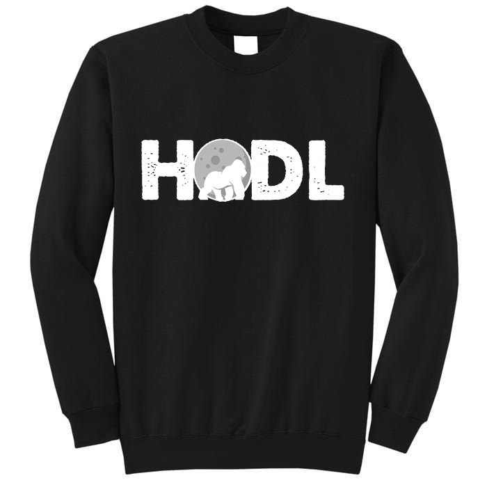 Hodl Stonk to the Moon Ape Crypto Currency Sweatshirt