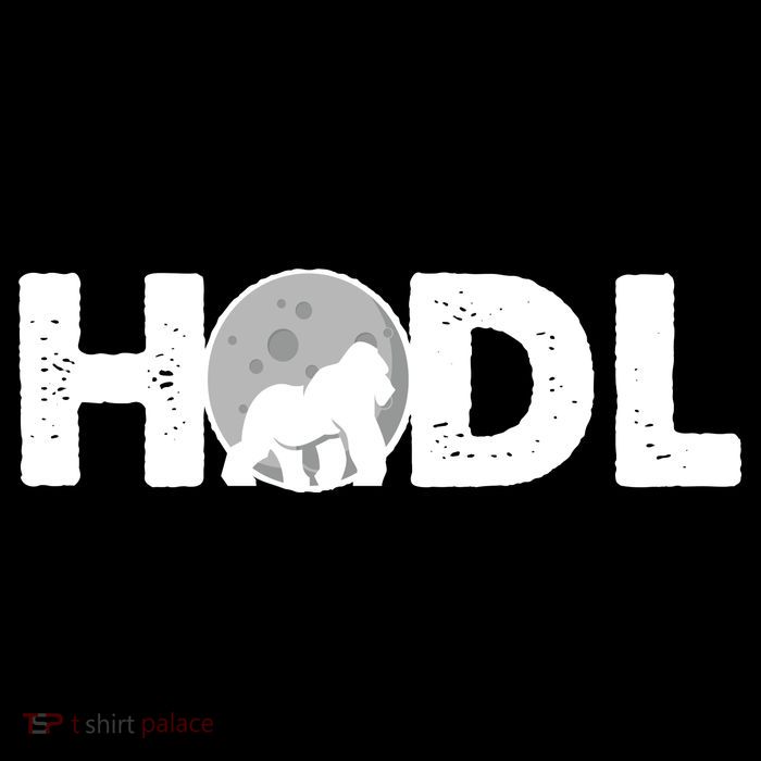Hodl Stonk to the Moon Ape Crypto Currency Sustainable Bucket Hat