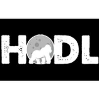 Hodl Stonk to the Moon Ape Crypto Currency Bumper Sticker