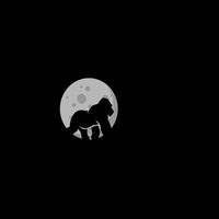 Hodl Stonk to the Moon Ape Crypto Currency Mug
