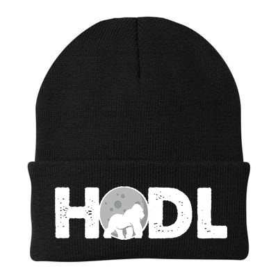 Hodl Stonk to the Moon Ape Crypto Currency Beanie
