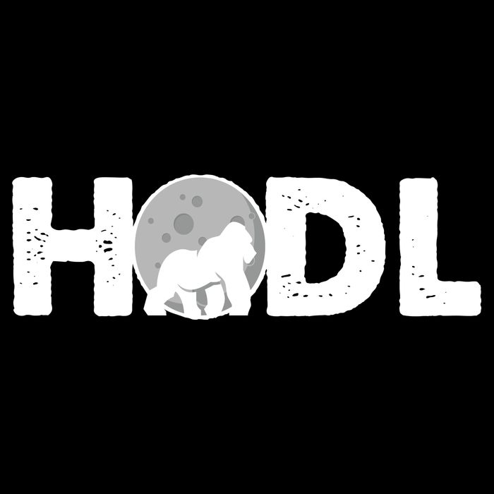 Hodl Stonk to the Moon Ape Crypto Currency Youth Performance Sprint T-Shirt