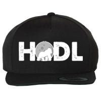 Hodl Stonk to the Moon Ape Crypto Currency Wool Snapback Cap