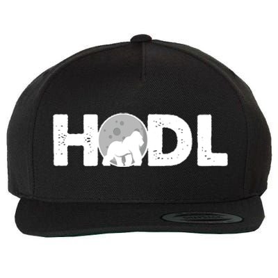 Hodl Stonk to the Moon Ape Crypto Currency Wool Snapback Cap