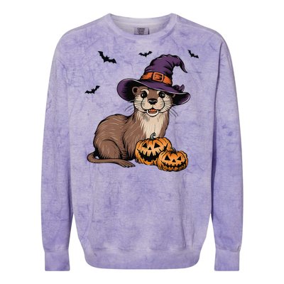 Halloween Otter Funny Witch Otter Colorblast Crewneck Sweatshirt