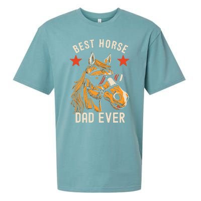 Horse Owner Gift Man Best Horse Dad Ever Sueded Cloud Jersey T-Shirt