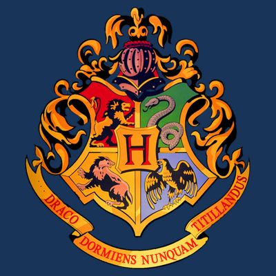 Hogwarts School Emblem T-Shirt