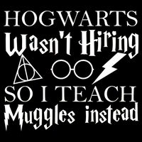 Hogwarts Wasn't Hiring So I Teach Muggles Full Zip Hoodie