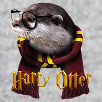 Harry Otter T-Shirt