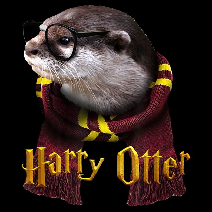 Harry Otter Sweatshirt