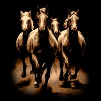 Herd Of Horses Sweatshirt