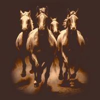 Herd Of Horses Apron
