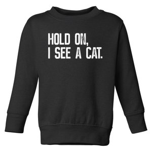 Hold On I See A Cat, Funny Cat Lovers Sarcastic Sayings Toddler Sweatshirt