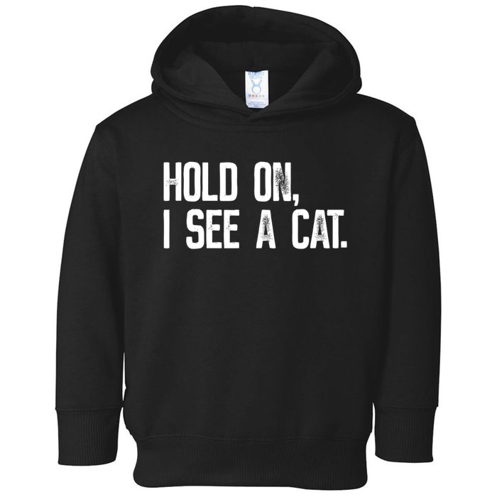 Hold On I See A Cat, Funny Cat Lovers Sarcastic Sayings Toddler Hoodie