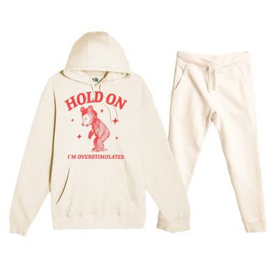 Hold On IM Overstimulated Funny Bear Meme Premium Hooded Sweatsuit Set