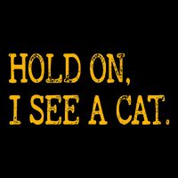 Hold On I See Cat Funny Cat Lovers Sarcastic Sayings Cats Apron