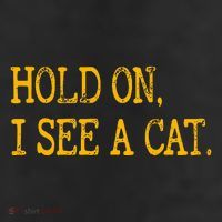 Hold On I See Cat Funny Cat Lovers Sarcastic Sayings Cats 11oz C Handle Ceramic Mug