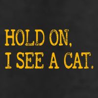 Hold On I See Cat Funny Cat Lovers Sarcastic Sayings Cats Microfiber Hand Towel