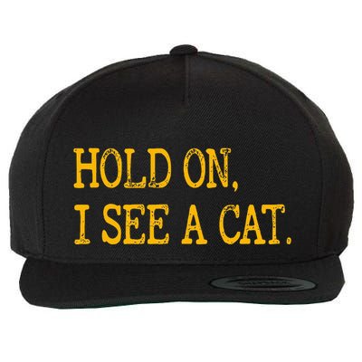 Hold On I See Cat Funny Cat Lovers Sarcastic Sayings Cats Wool Snapback Cap