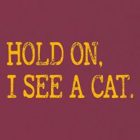 Hold On I See Cat Funny Cat Lovers Sarcastic Sayings Cats 16oz Travel Tumbler