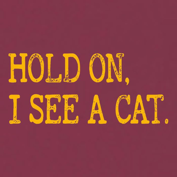 Hold On I See Cat Funny Cat Lovers Sarcastic Sayings Cats 16oz Travel Tumbler