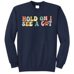 Hold On I See A Cat Funny Cat Lovers Sayings Valentines Day Tall Sweatshirt