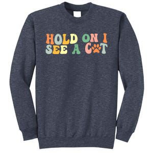 Hold On I See A Cat Funny Cat Lovers Sayings Valentines Day Sweatshirt