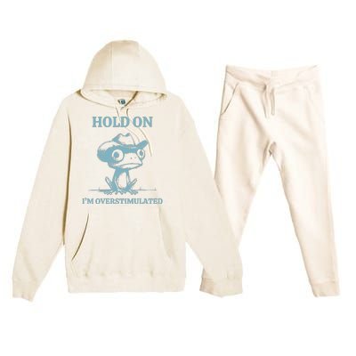 Hold On Im Overstimulated Frog Premium Hooded Sweatsuit Set