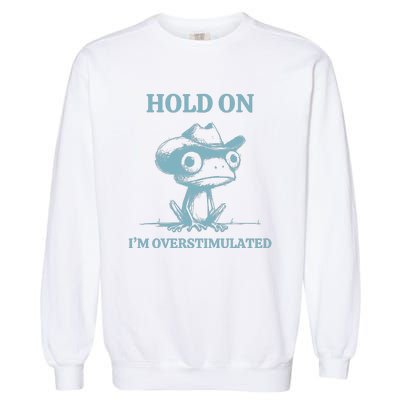 Hold On Im Overstimulated Frog Garment-Dyed Sweatshirt