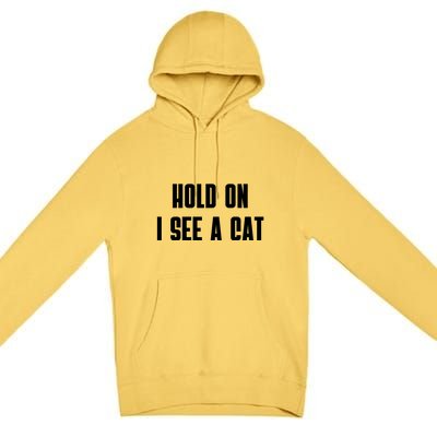 Hold On I See A Cat Cat Person Cat Lover Premium Pullover Hoodie