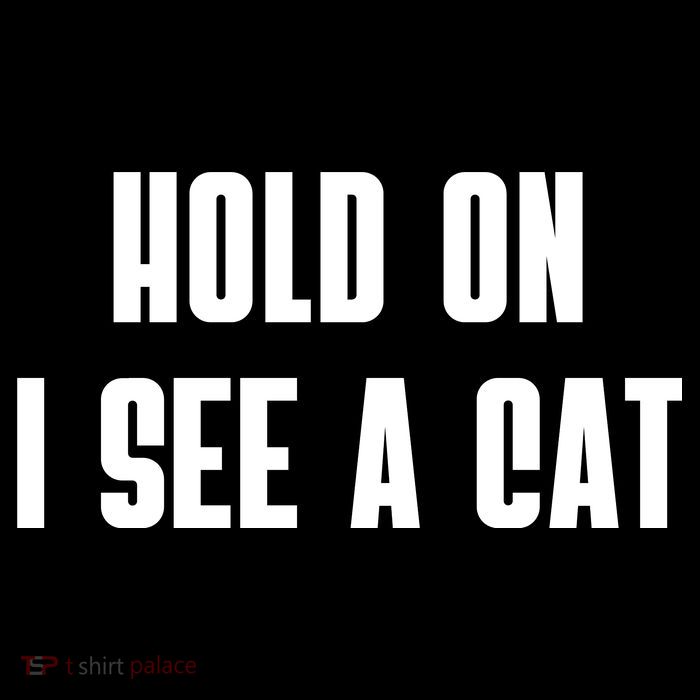 Hold On I See A Cat Cat Person Cat Lover High Crown Mesh Back Trucker Hat
