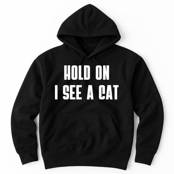 Hold On I See A Cat Cat Person Cat Lover Hoodie