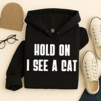 Hold On I See A Cat Cat Person Cat Lover Hoodie
