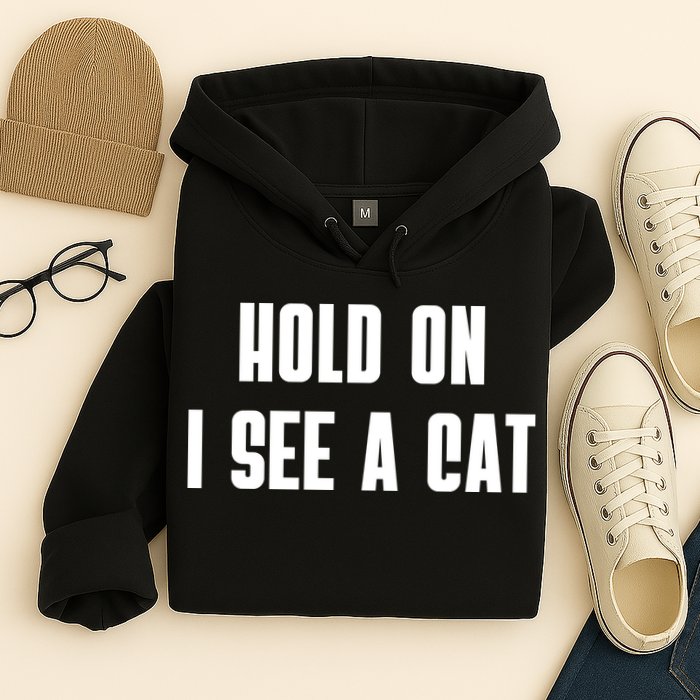Hold On I See A Cat Cat Person Cat Lover Hoodie