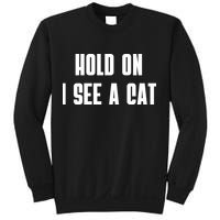 Hold On I See A Cat Cat Person Cat Lover Sweatshirt